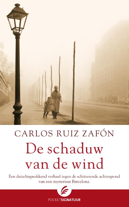 Omslag van De schaduw van de wind