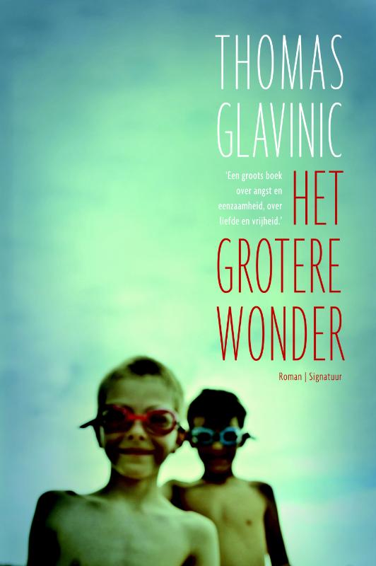 Omslag van Het grotere wonder