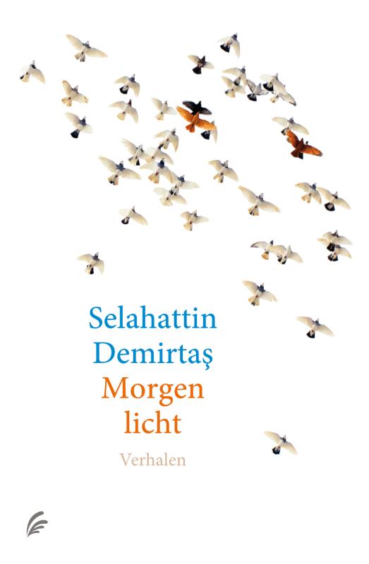 Omslag van Morgenlicht