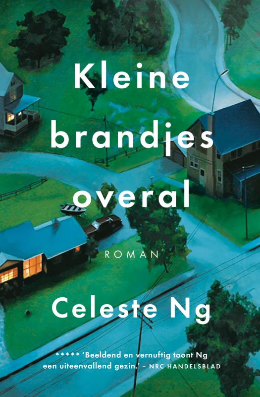Omslag van Kleine brandjes overal