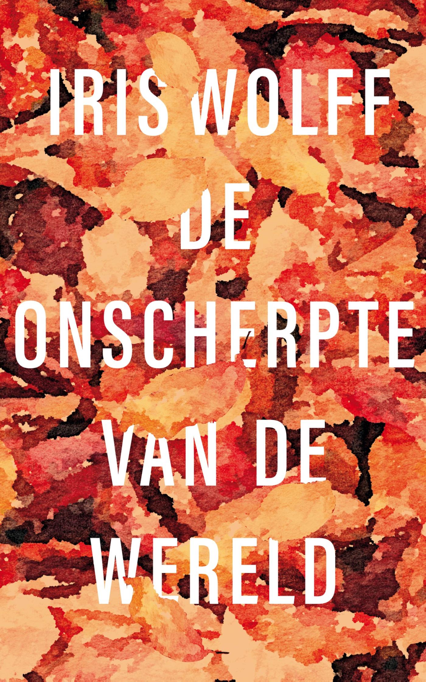 Omslag van De onscherpte van de wereld