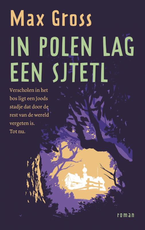 Omslag van In Polen lag een sjtetl