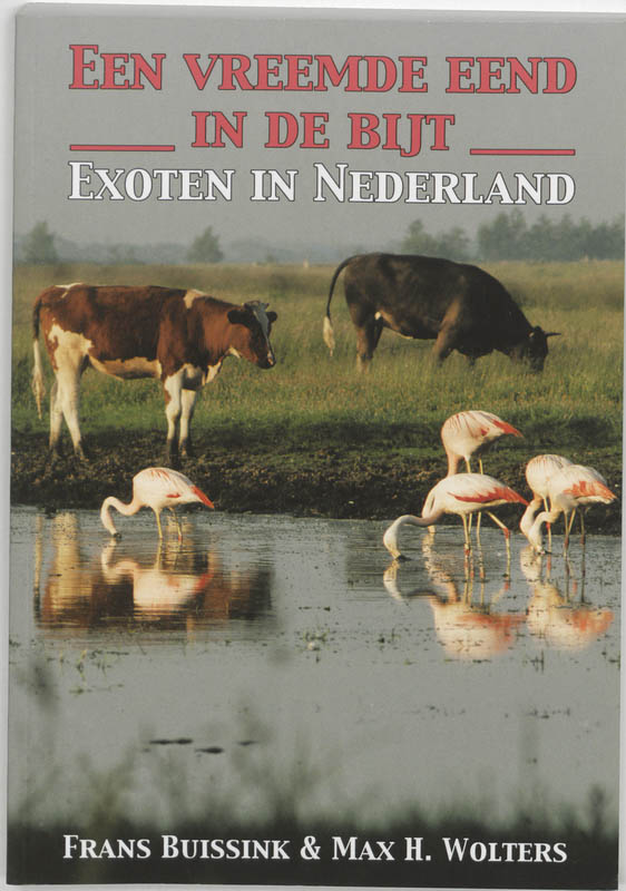 Omslag van Een vreemde eend in de bijt