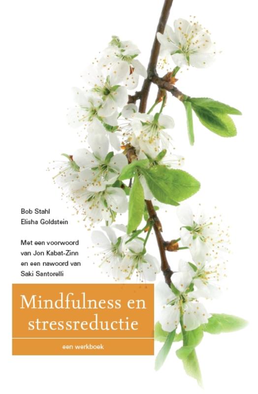 Omslag van Mindfulness en stressreductie