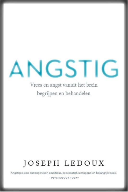 Omslag van Angstig