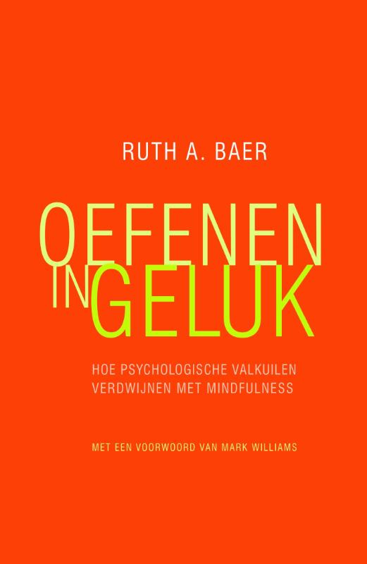 Omslag van Oefenen in geluk