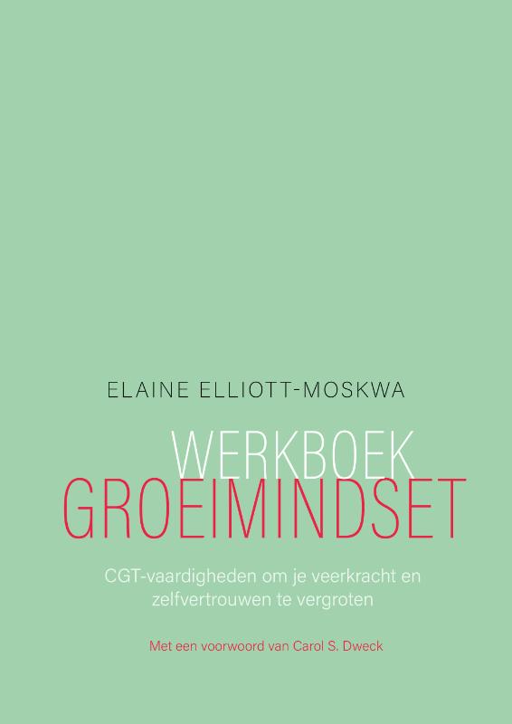 Omslag van Werkboek groeimindset
