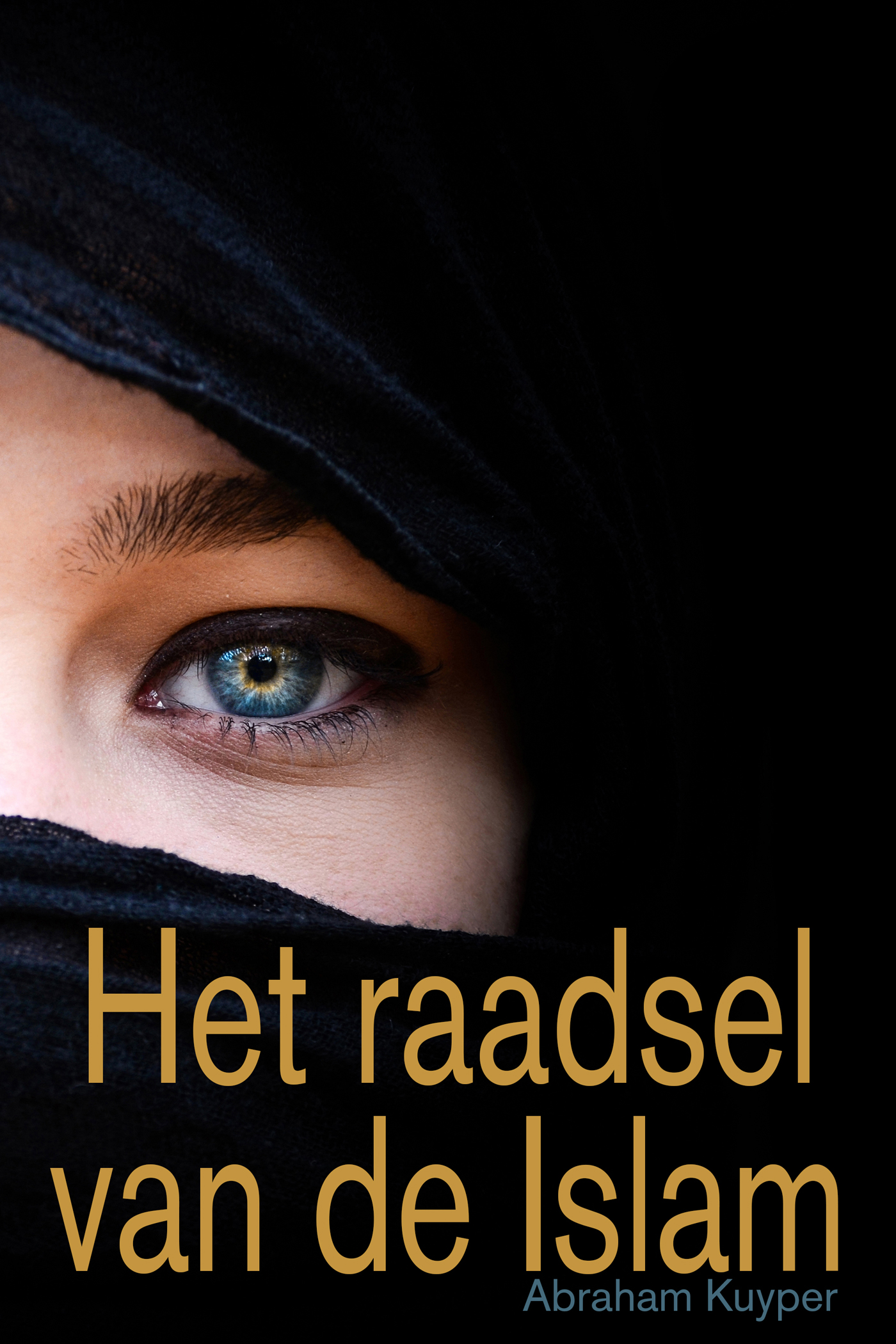 Omslag van Het raadsel van de Islam