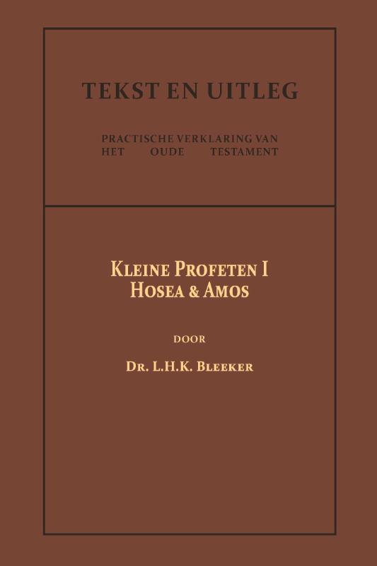 Omslag van De Kleine Profeten I