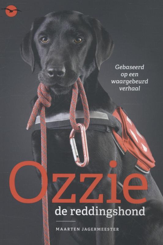 Omslag van Ozzie