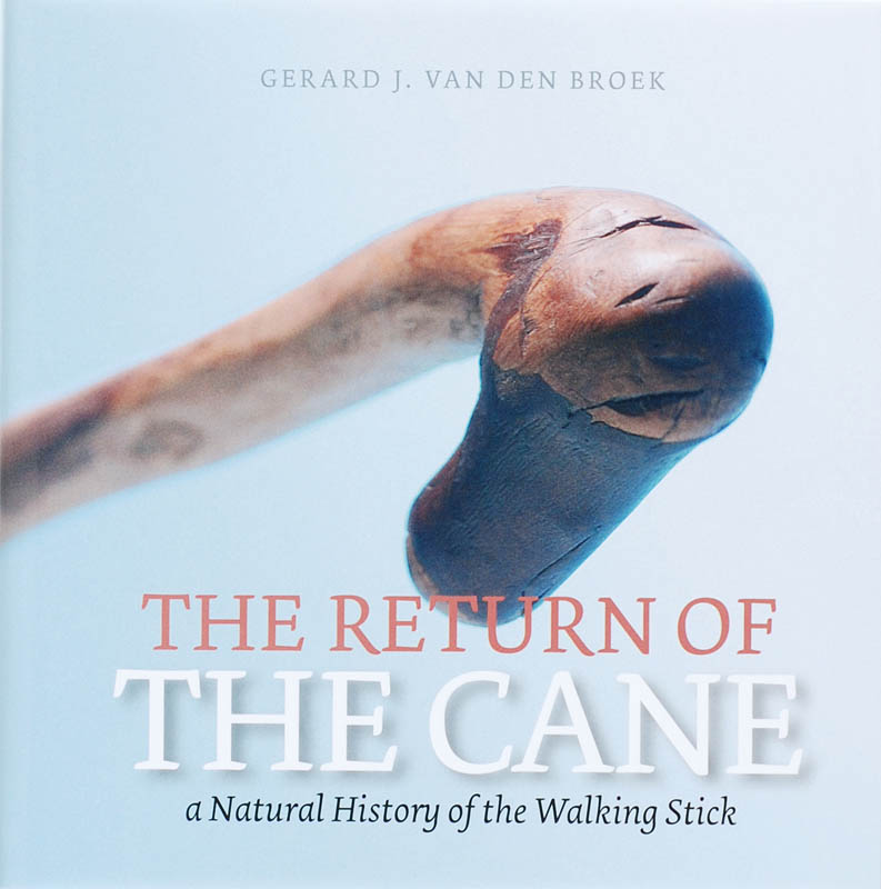 Omslag van The Return of the Cane