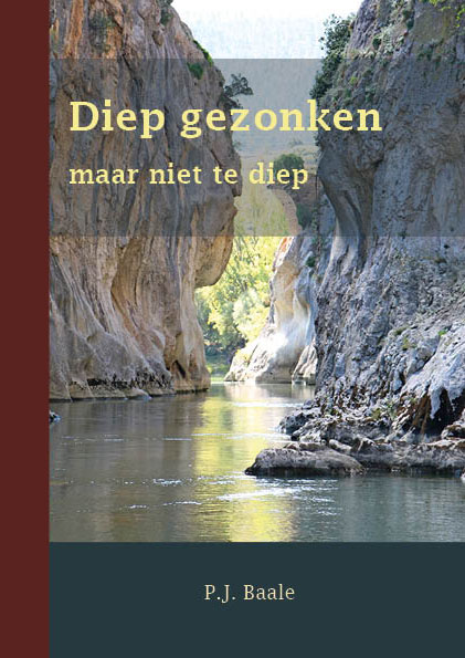 Omslag van Diep gezonken, maar niet te diep