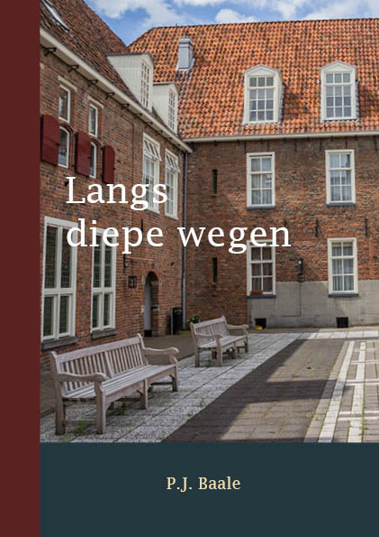 Omslag van Langs diepe wegen
