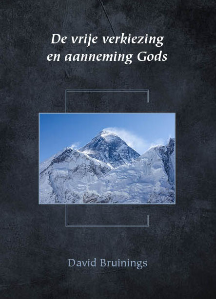 Omslag van De vrije verkiezing en aanneming Gods
