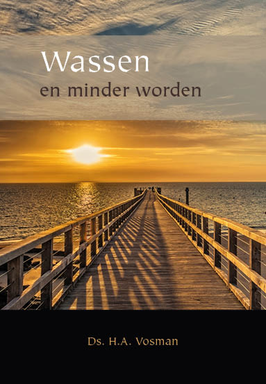 Omslag van Wassen en minder worden