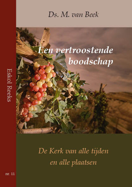 Omslag van Een vertroostende boodschap