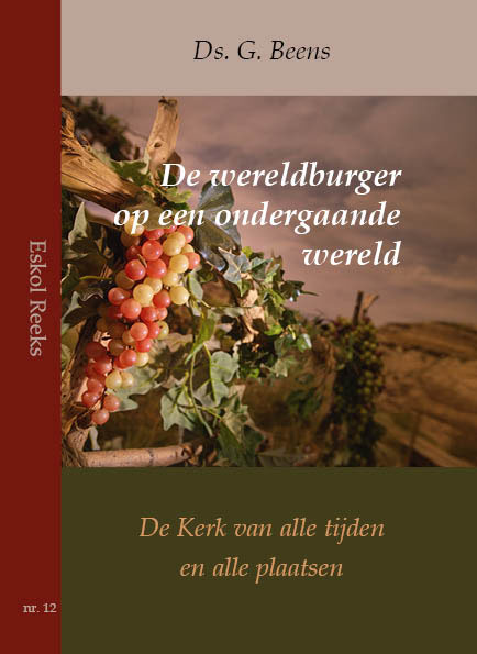 Omslag van De wereldburger op een ondergaande wereld