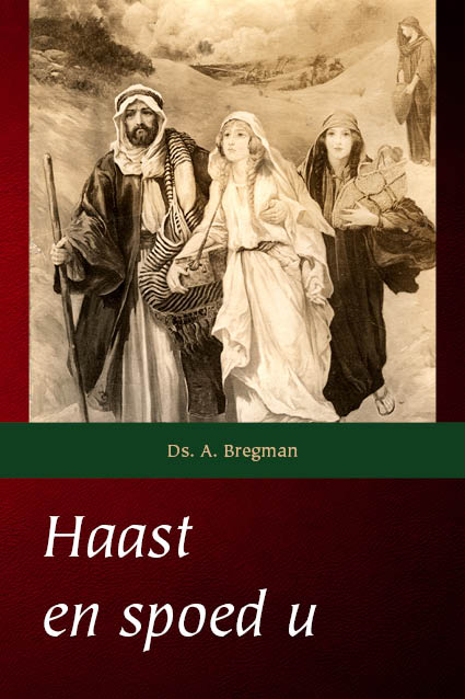 Omslag van Haast en spoed u