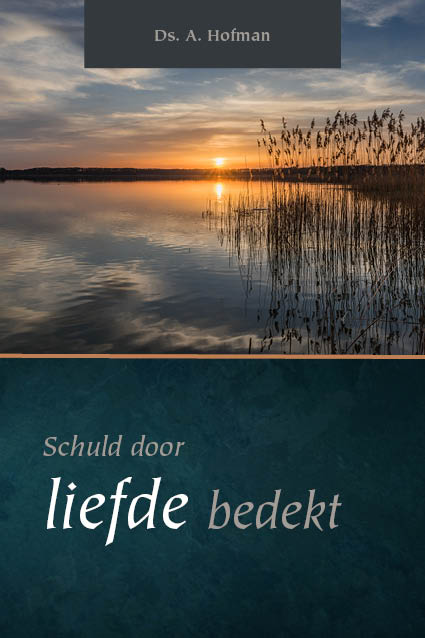 Omslag van Schuld bedekt door liefde