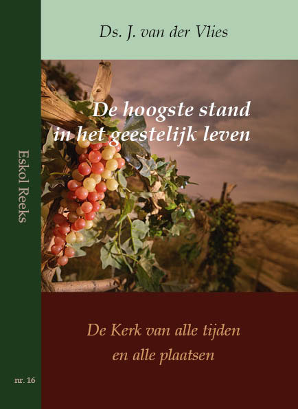 Omslag van De hoogste stand in het geestelijk leven