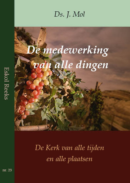 Omslag van De medewerking van alle dingen