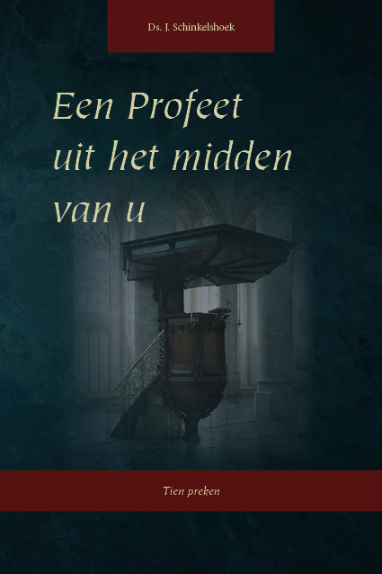 Omslag van Een Profeet uit het midden van u
