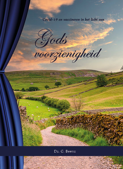 Omslag van Gods voorzienigheid