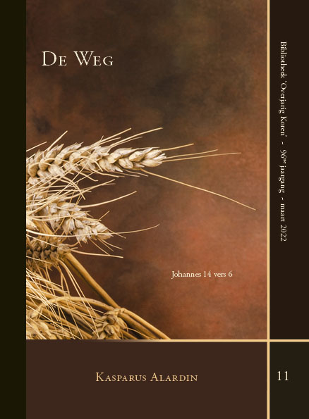 Omslag van De weg