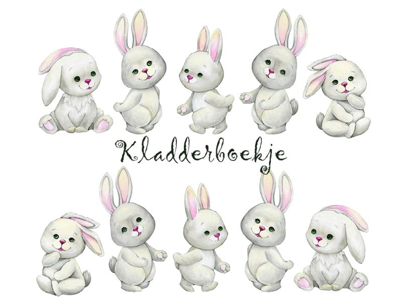 Omslag van Kladderboekje Hangoortje