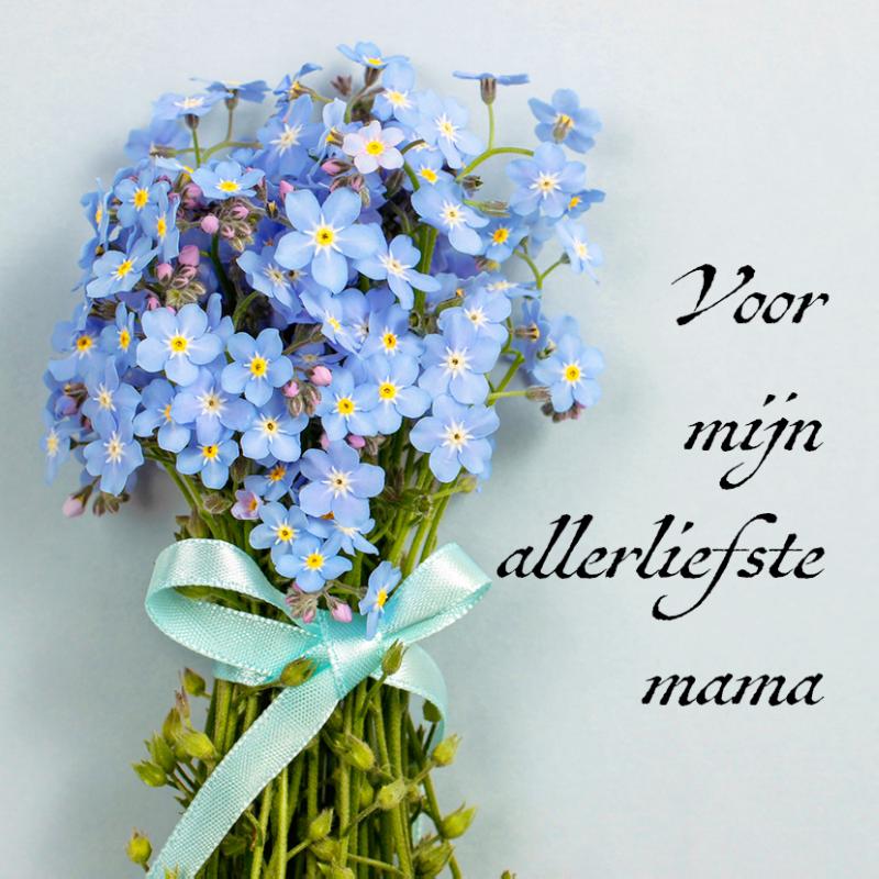 Omslag van Voor mijn allerliefste mama Tamara