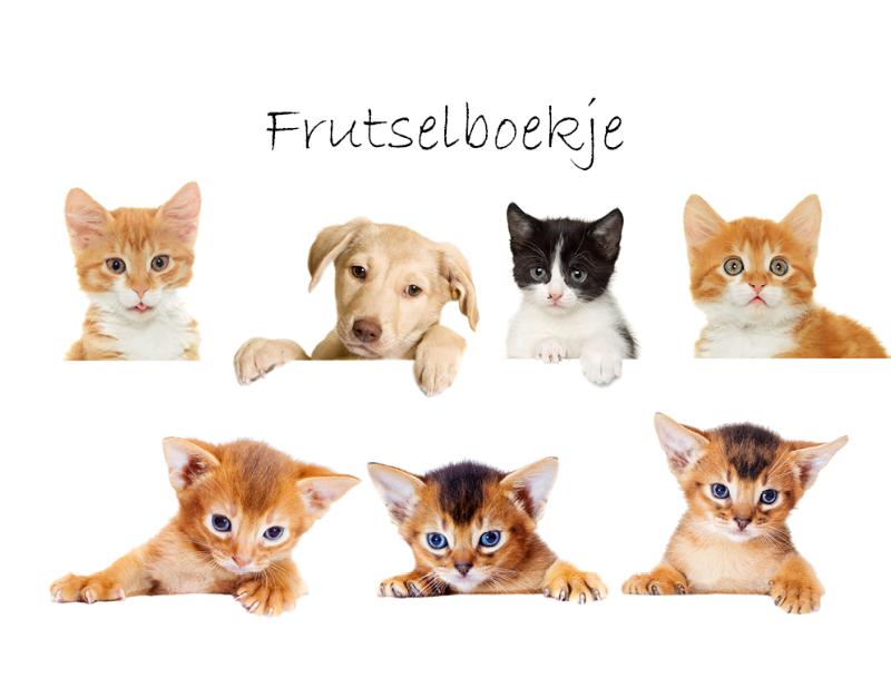 Omslag van Frutselboekje Celia