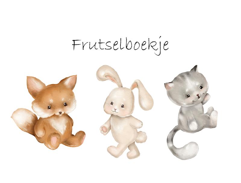 Omslag van Frutselboekje Sven