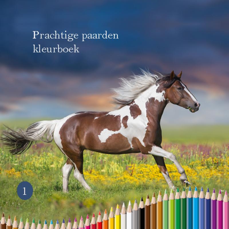 Omslag van Prachtige paarden kleurboek