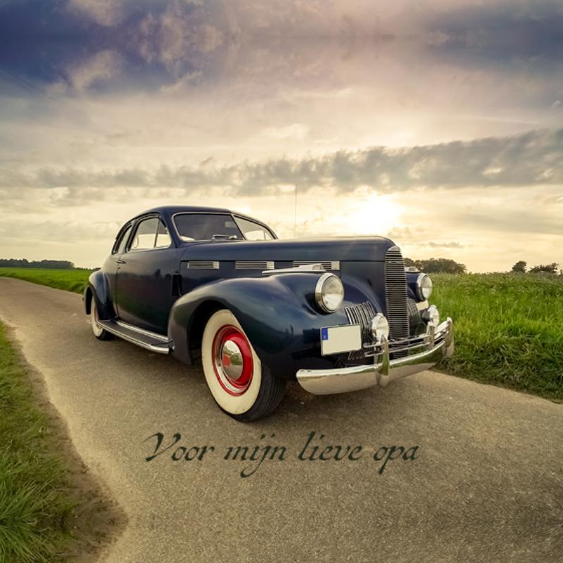 Omslag van Voor mijn lieve opa