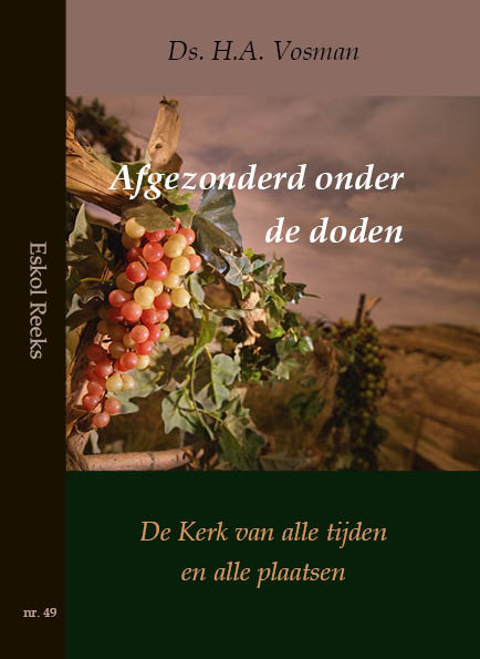 Omslag van Afgezonderd onder de doden