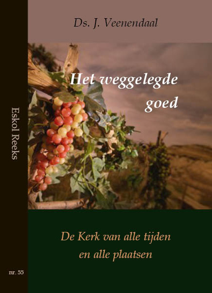 Omslag van Het weggelegde goed
