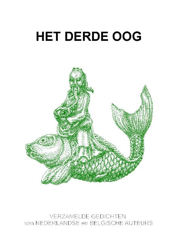 Omslag van Het derde oog