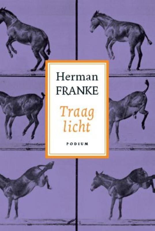 Omslag van 3 Traag licht