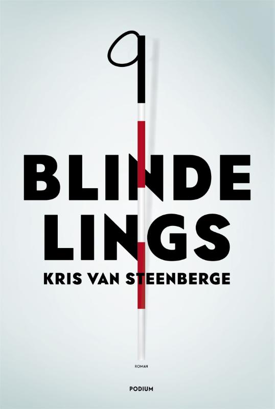 Omslag van Blindelings
