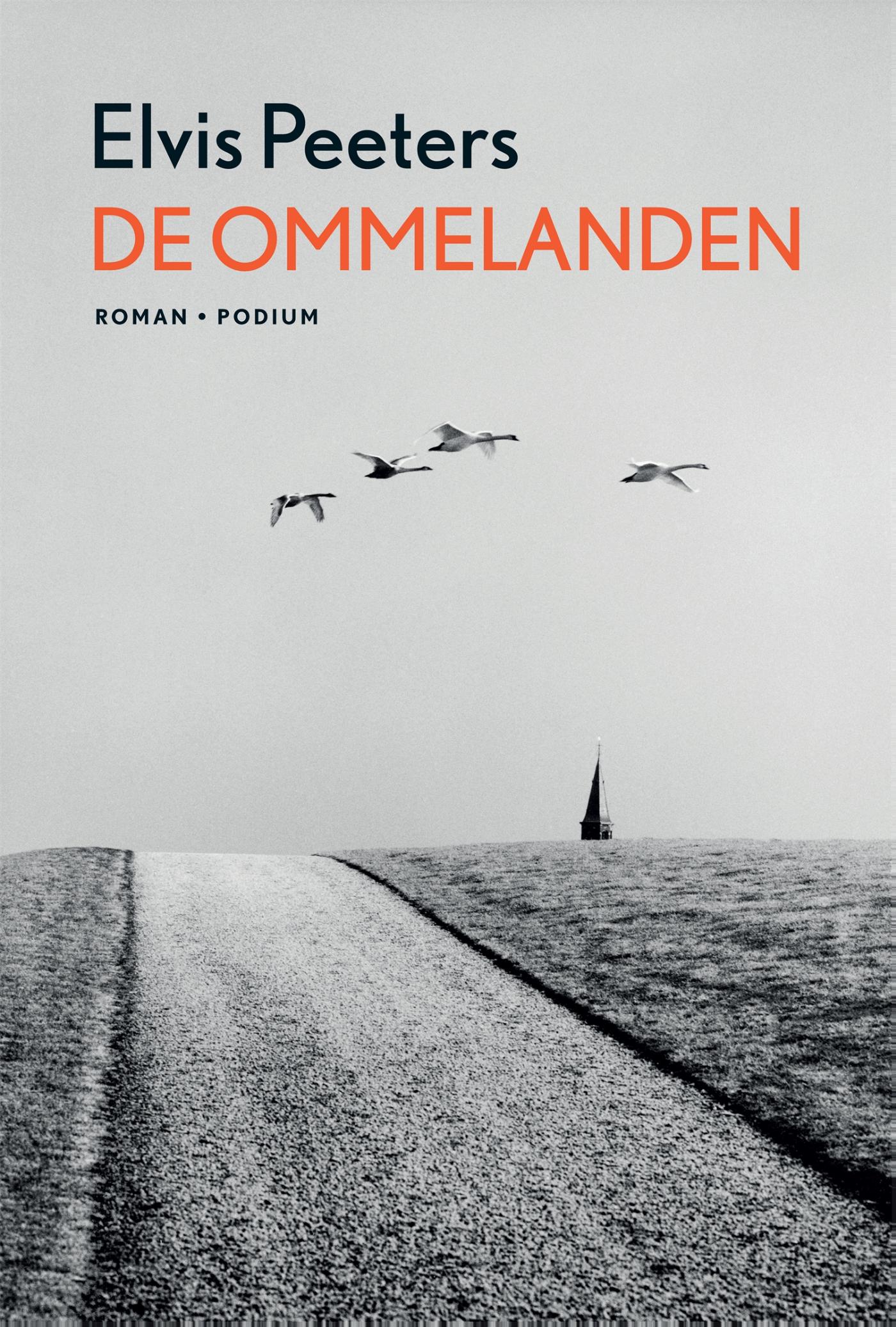 Omslag van De ommelanden