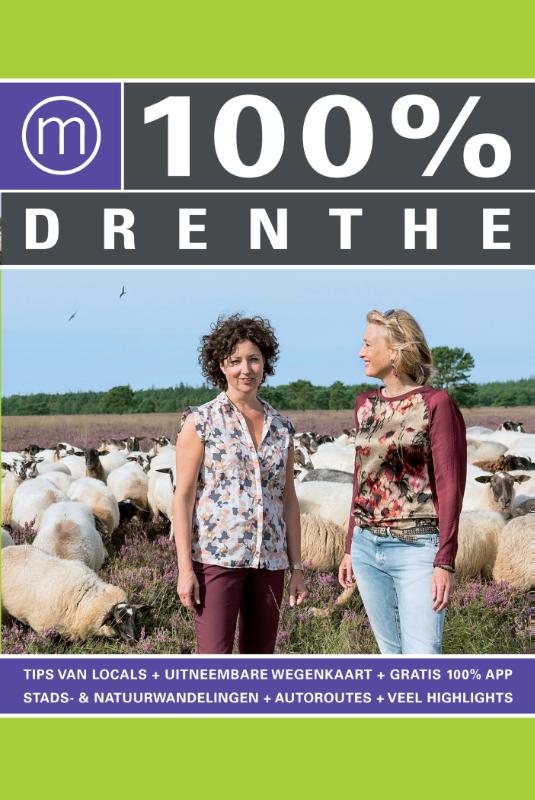 Omslag van 100% Drenthe
