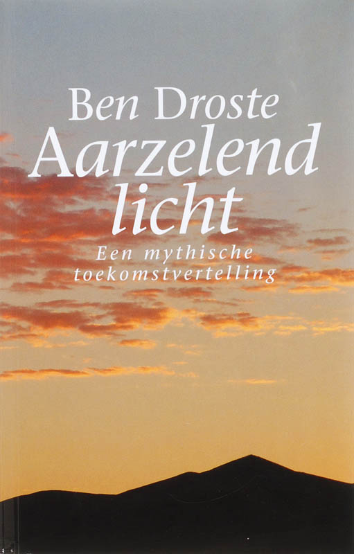 Omslag van Aarzelend licht