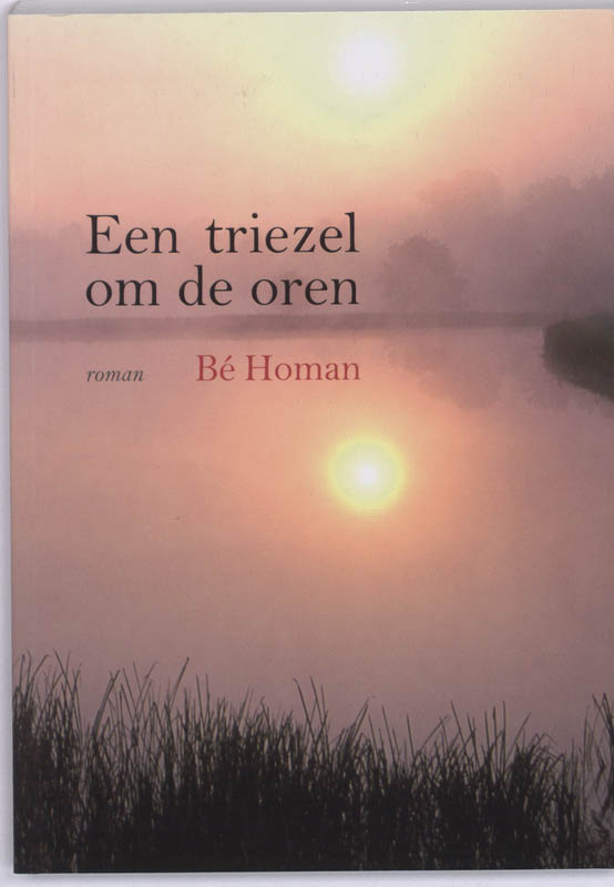 Omslag van Een triezel om de oren