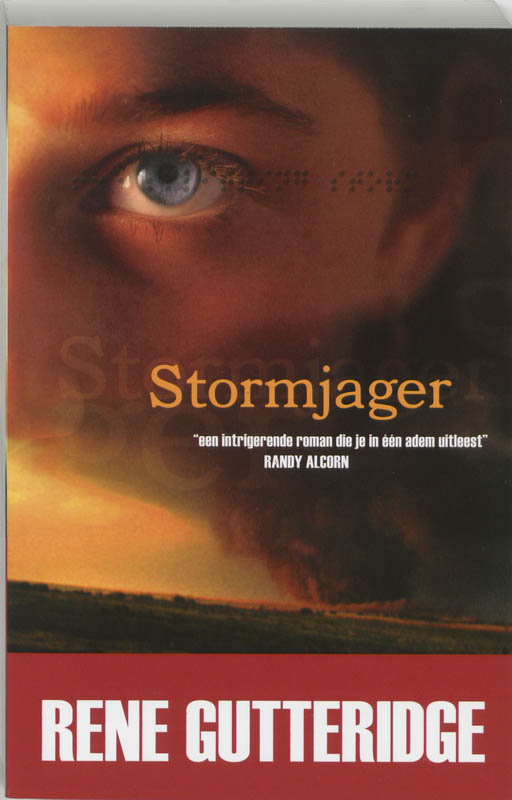 Omslag van Stormjager