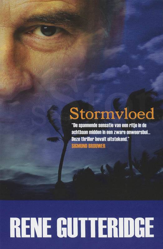 Omslag van Stormvloed