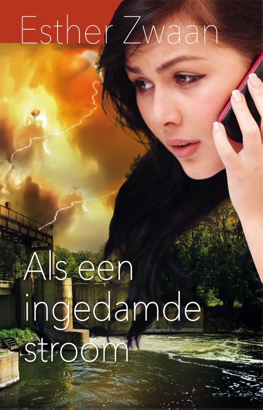 Omslag van Als een ingedamde stroom