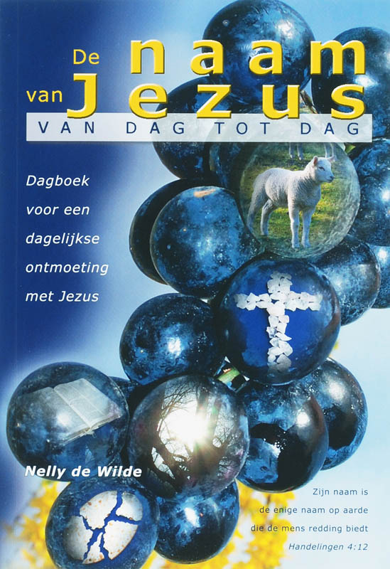 Omslag van De naam van Jezus van dag tot dag