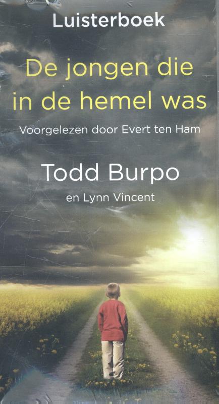 Omslag van De jongen die in de hemel was