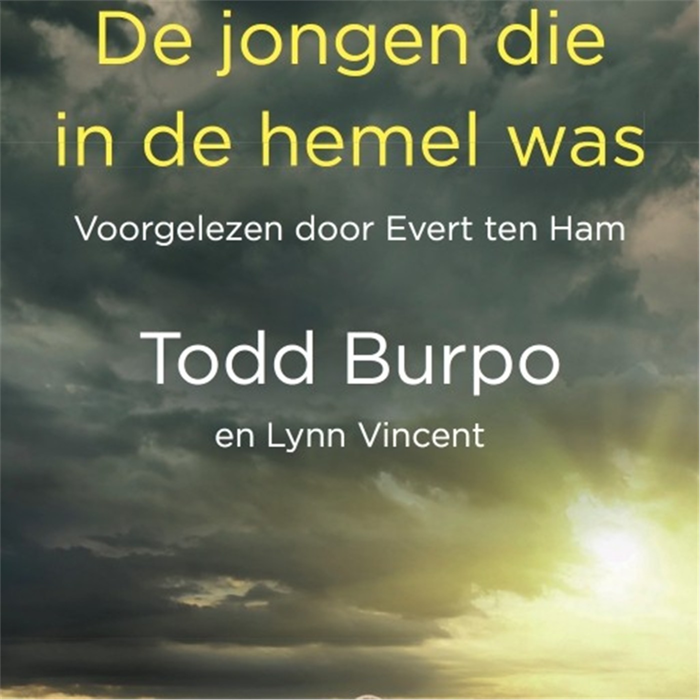 Omslag van De jongen die in de hemel was
