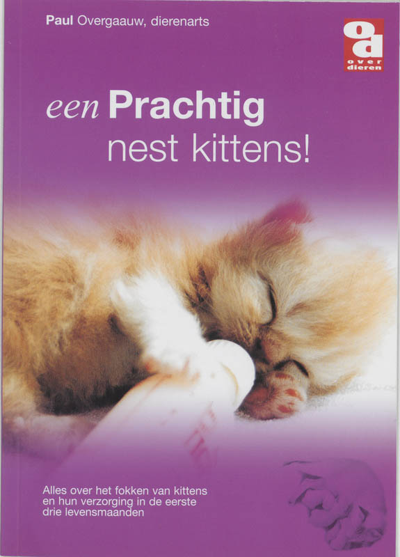 Omslag van Een prachtig nest kittens!